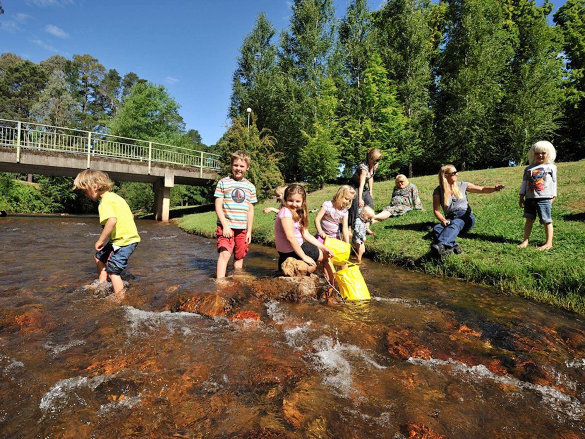 Nrma Bright Holiday Park Esterno foto