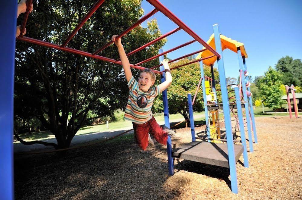Nrma Bright Holiday Park Esterno foto